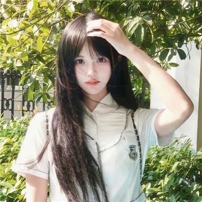 灵性的动物